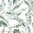 Papel pintado hojas verde acuarela